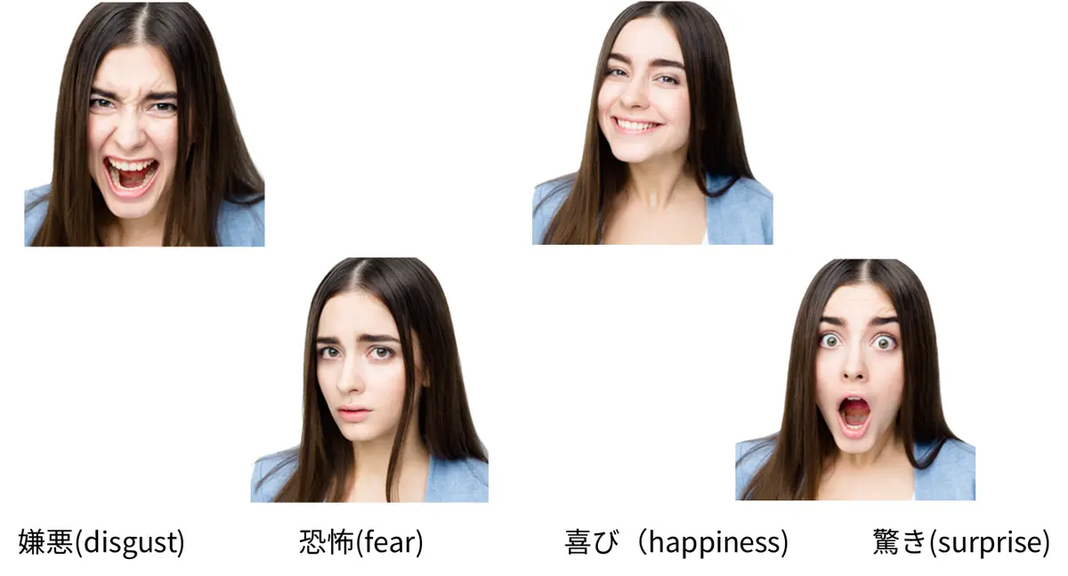 図１.視線計測に使用する表情の種類（画像は実際に演習で使用している画像とは異なります）