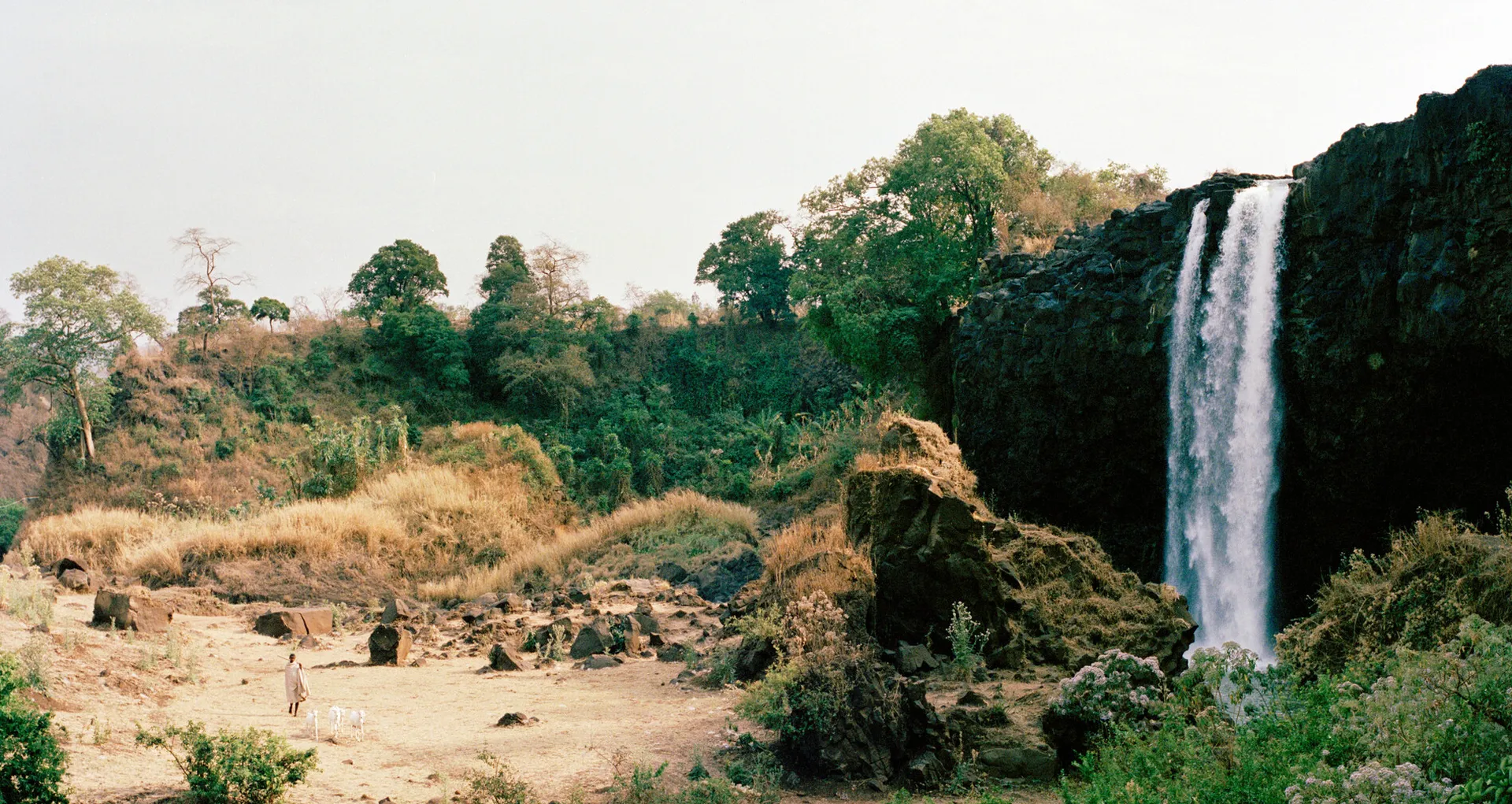 眼动追踪与西非水资源教育