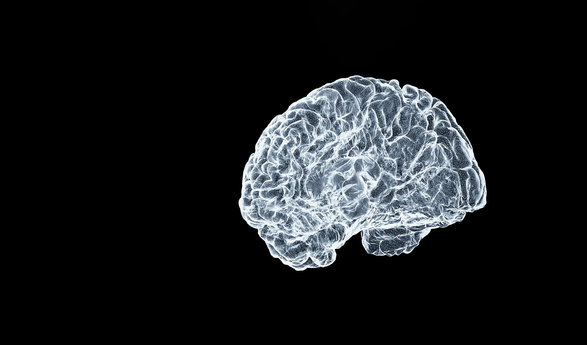 認知負荷オンラインセミナー