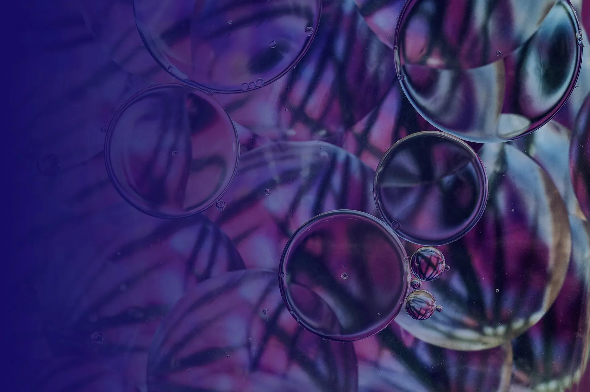 SPIE AR | VR | MR Expo 2026