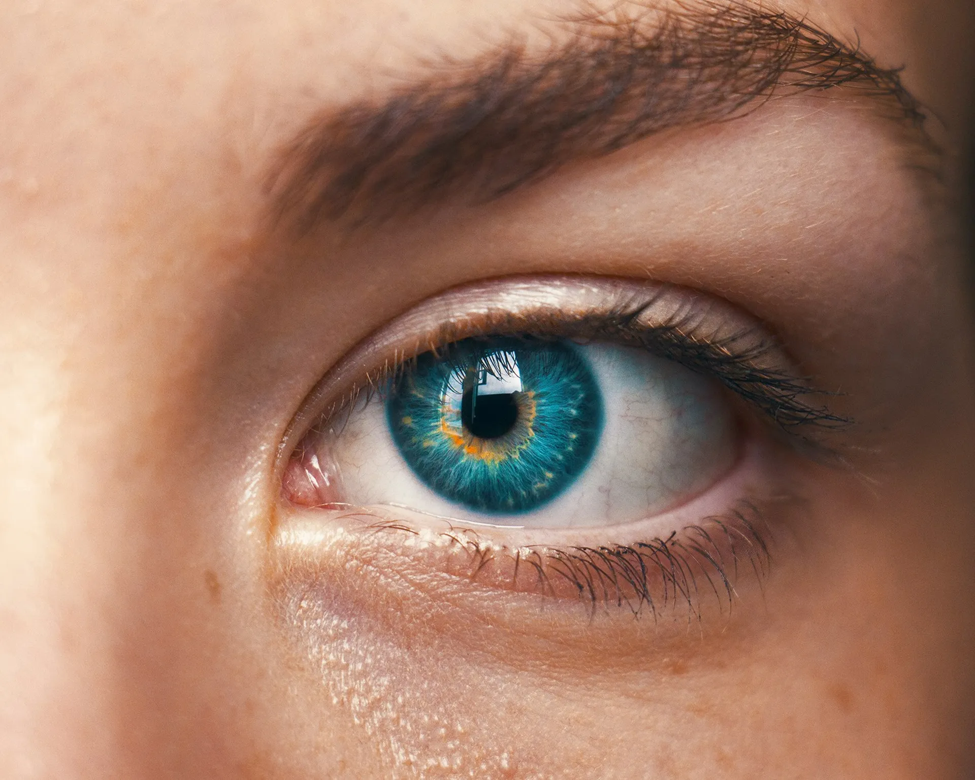 从创新到商业化