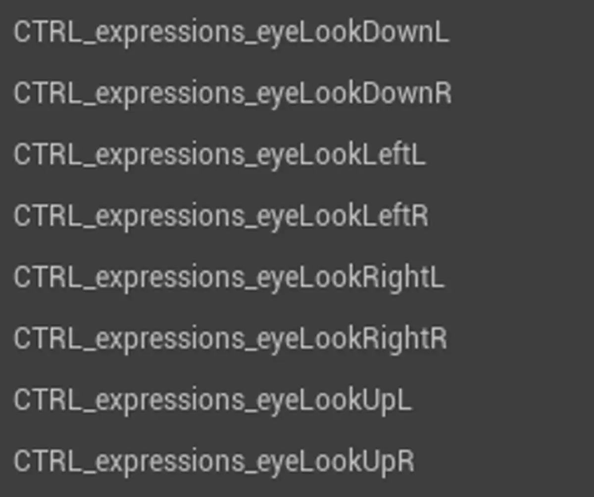 MetaHuman expressions controls for look direction