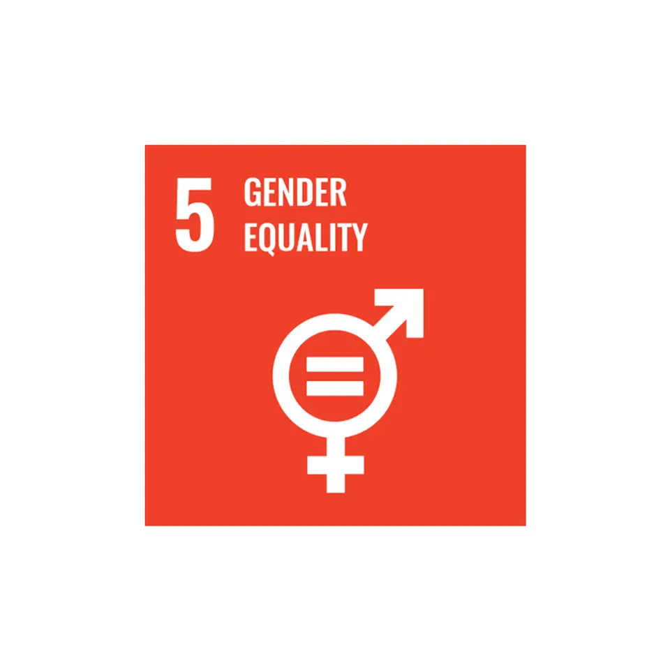 Goal 5: Equality 