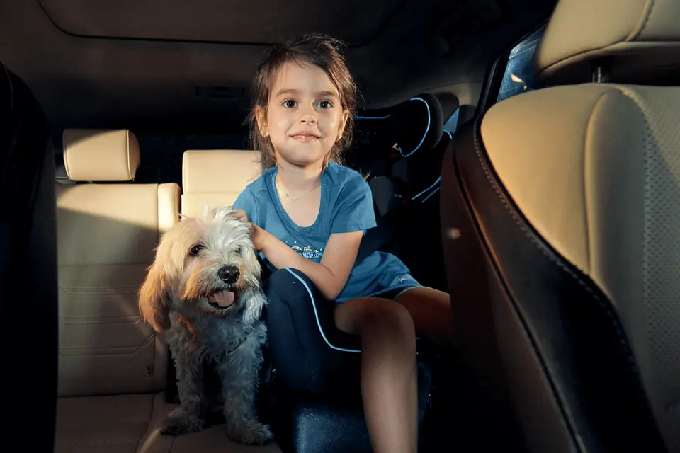 Child and dog in a car