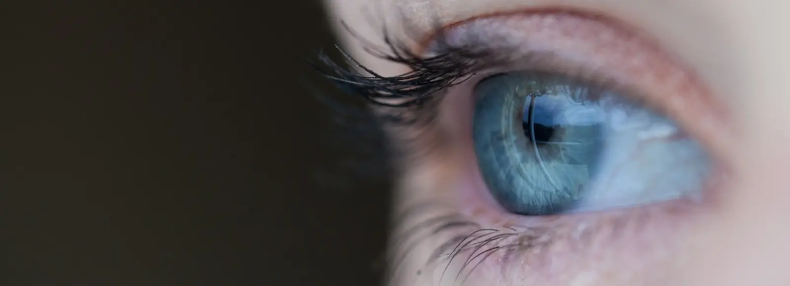 Eye tracking par camera adapté à la recherche 
