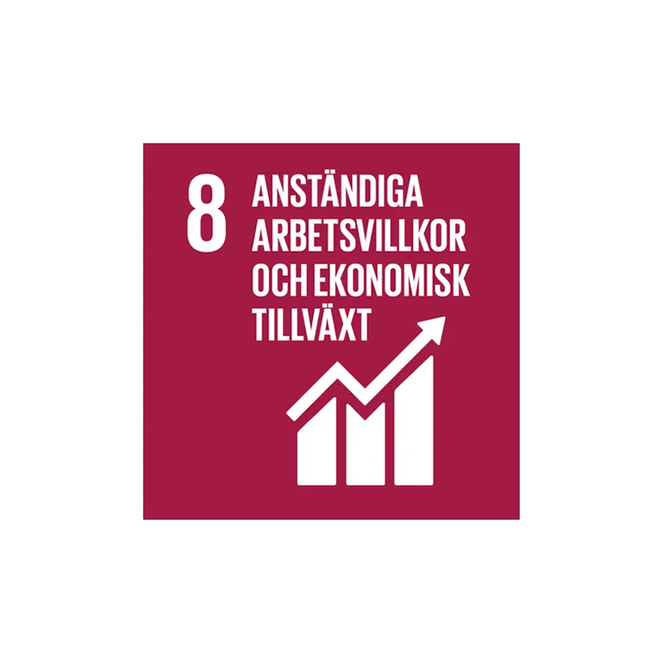 Mål 8: Anständiga arbetsvillkor och ekonomisk tillväxt 