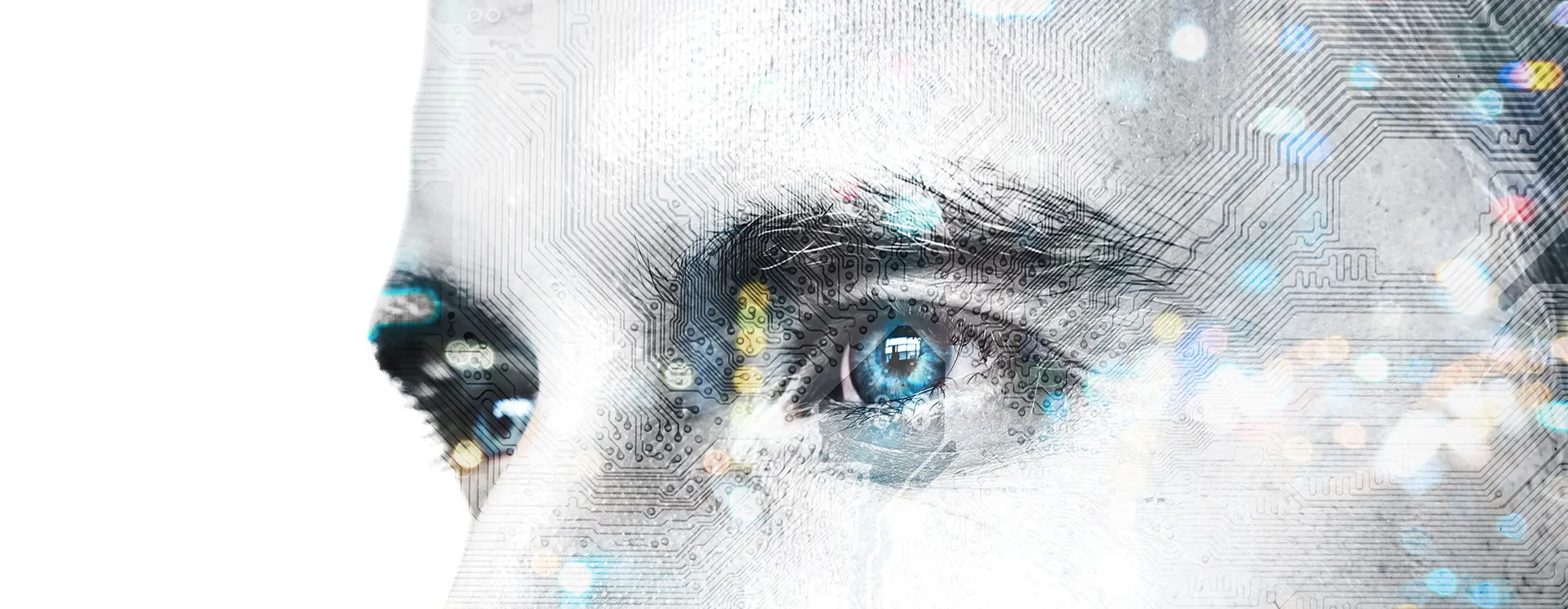 Research spotlight interviews