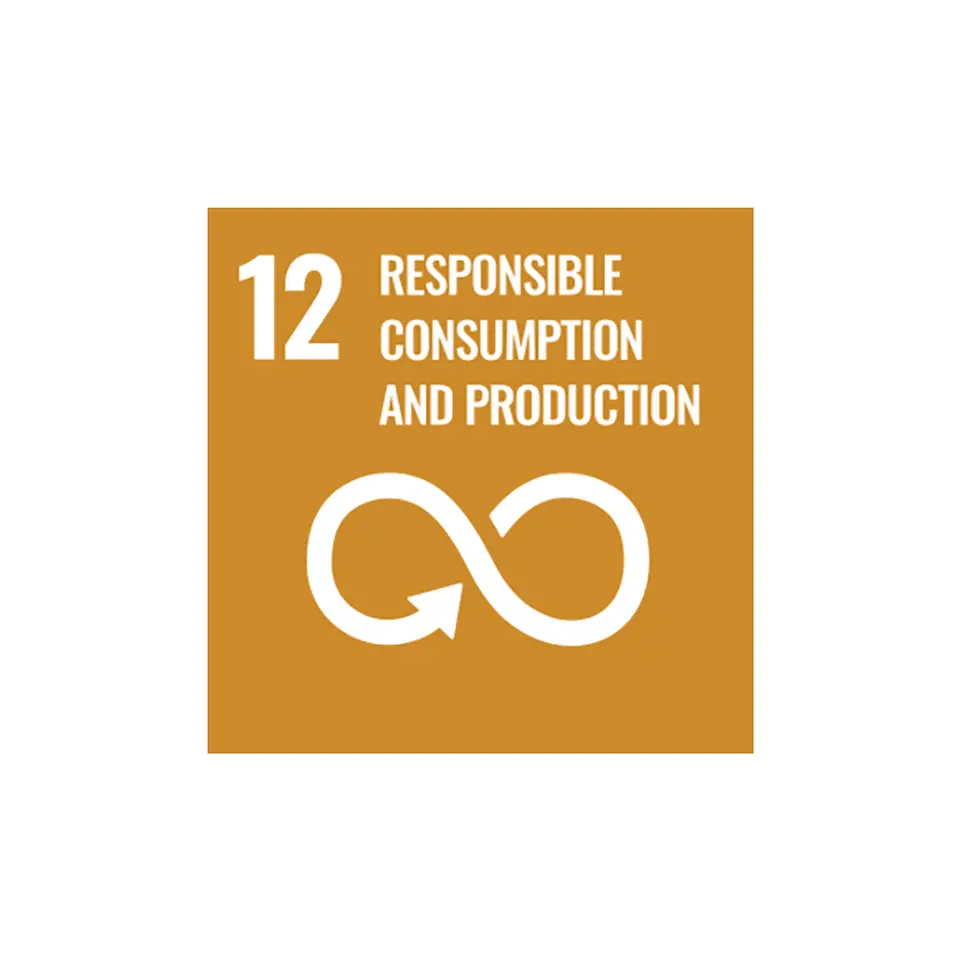 Goal 12: Long-term sustainable consumption and production 