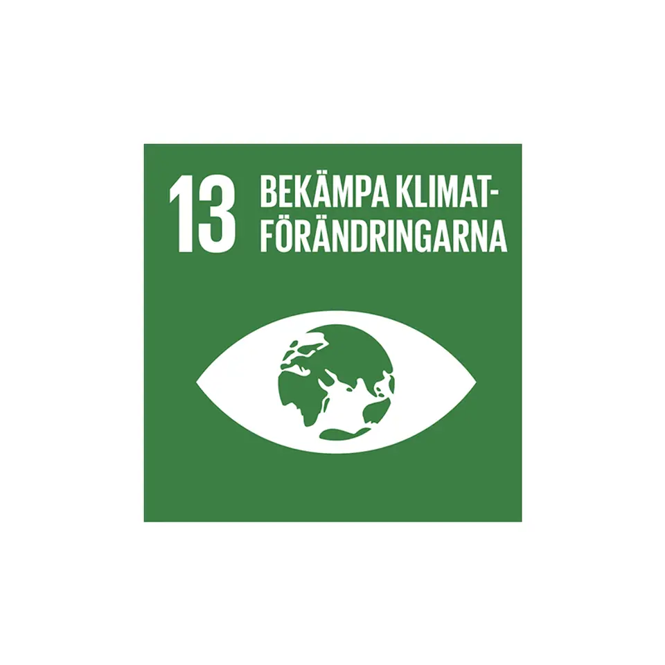 Mål 13: Bekämpa klimatförändringarna 