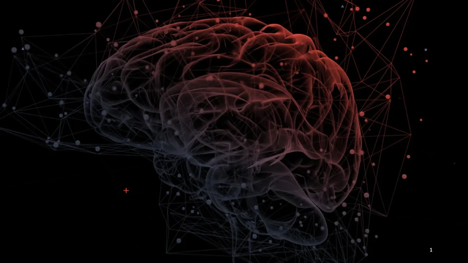 巴塞罗那国际多脑大会