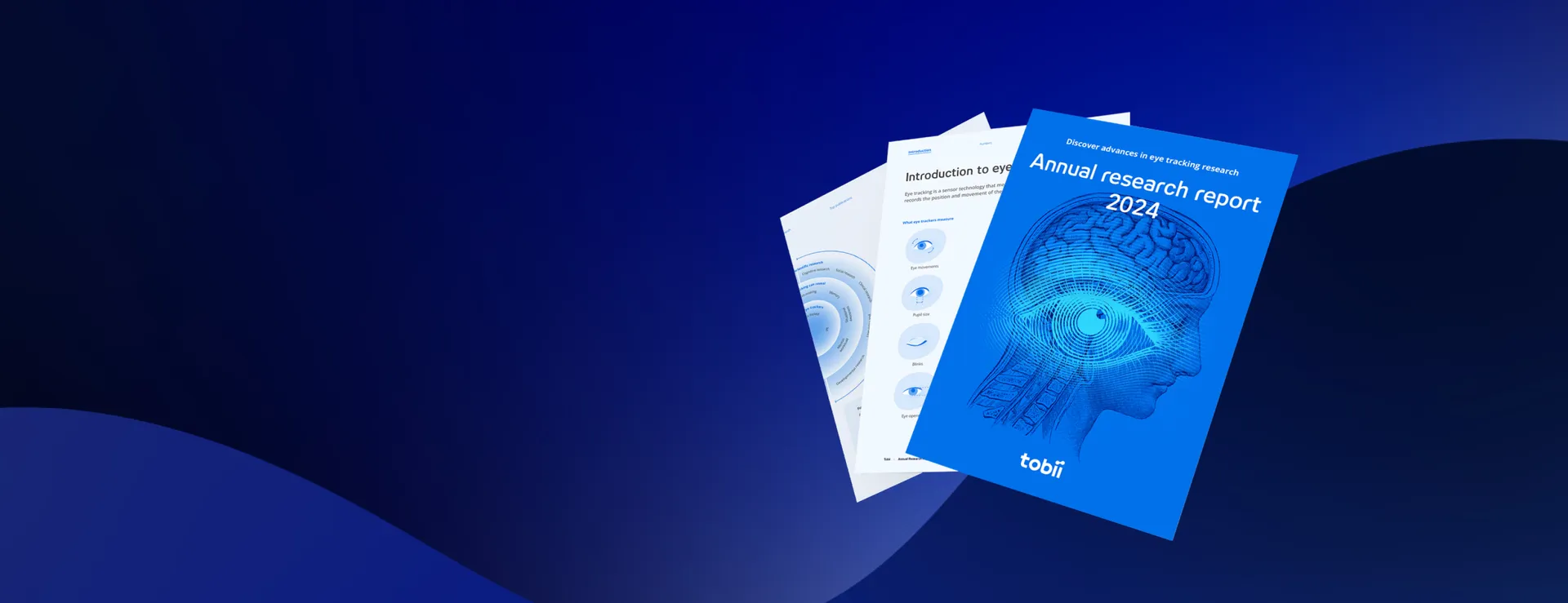 Annual Research Report 2024