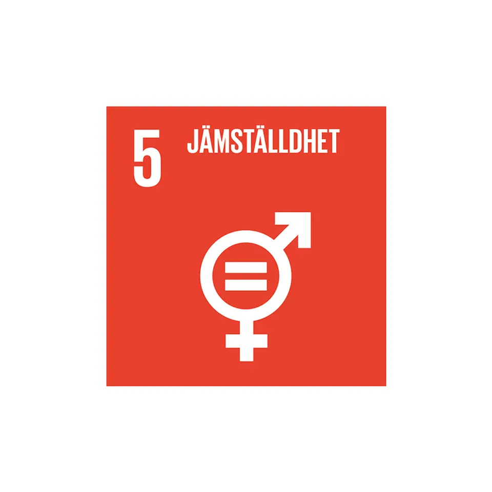 Mål 5: Jämställdhet 