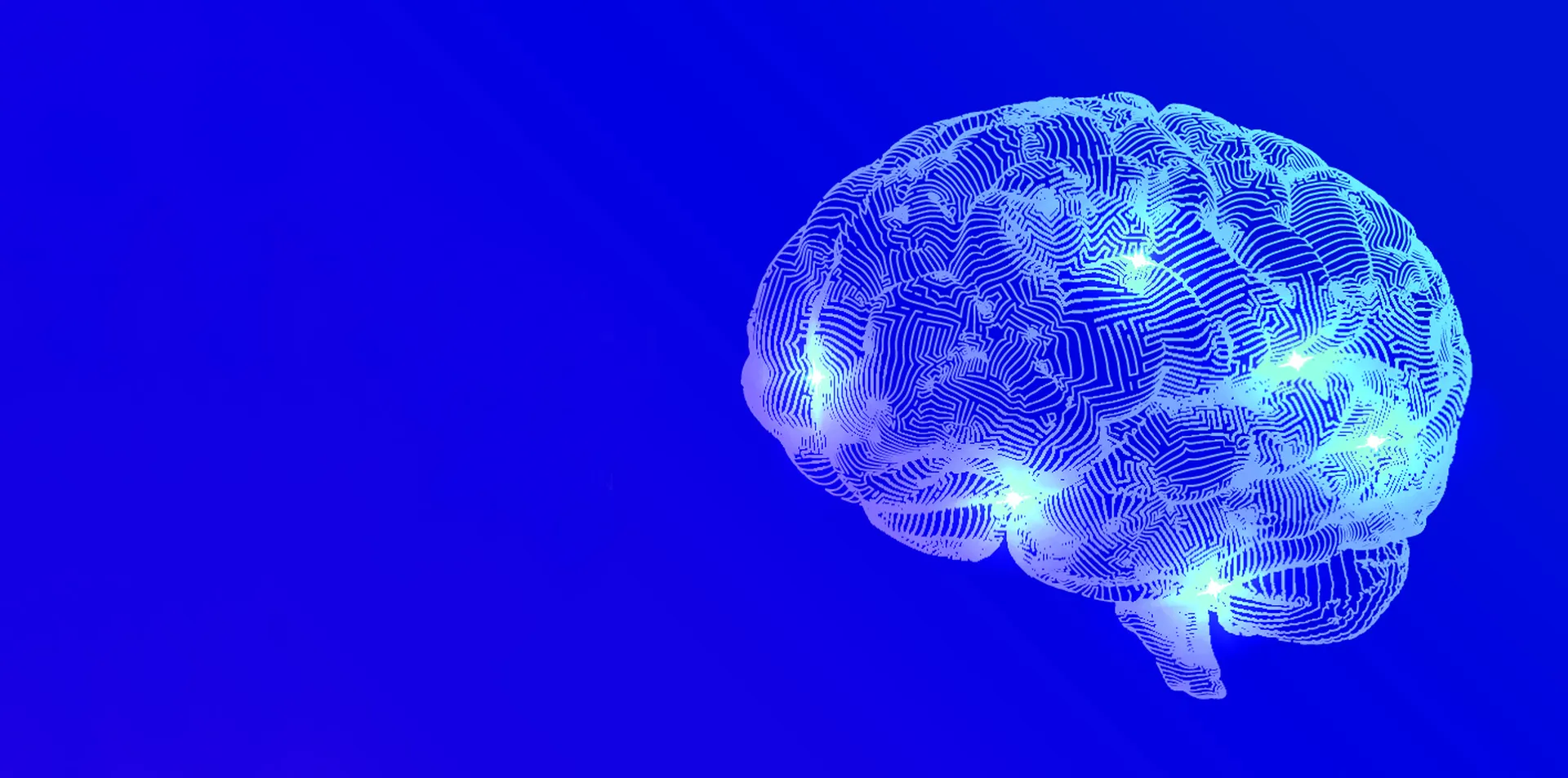 Neuropsychology: Back to the Future 