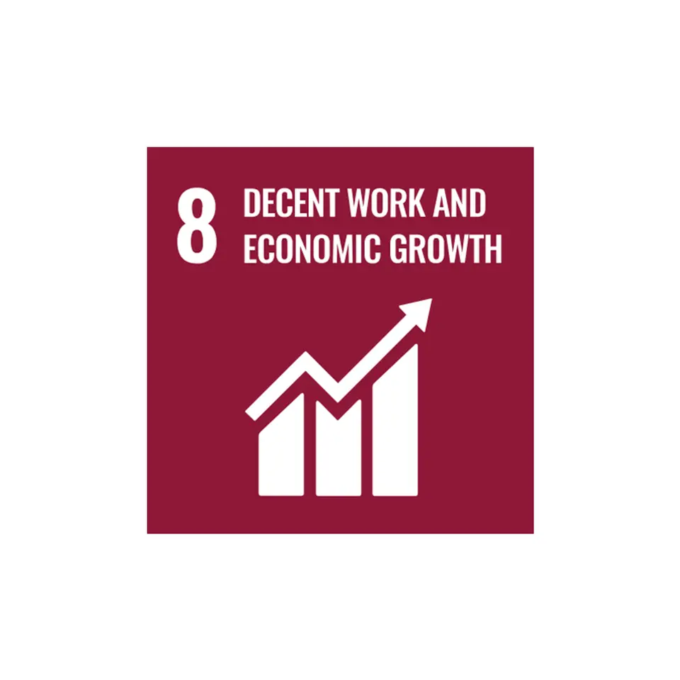 Goal 8: Decent working conditions and economic growth 