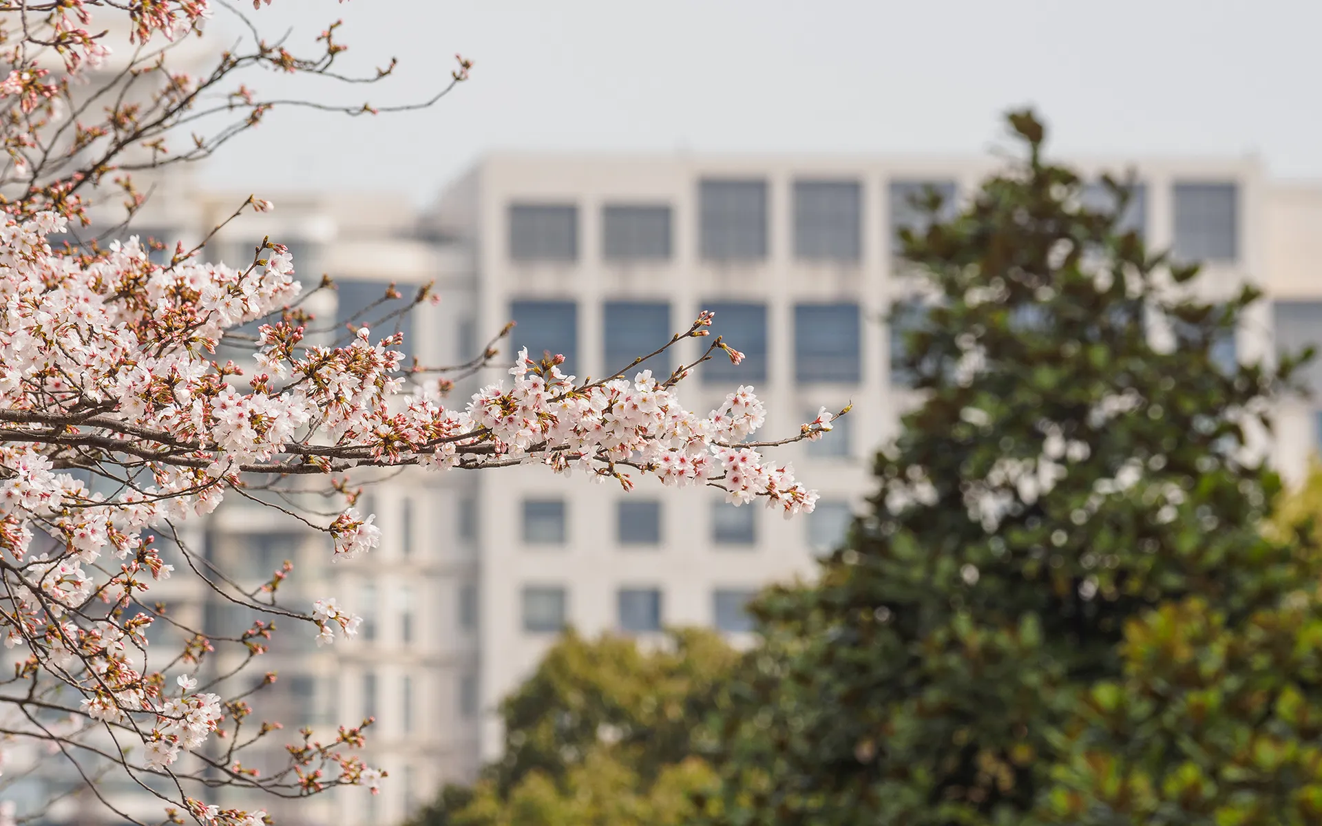 同济大学建筑与城市规划学院通过Tobii Classroom增强学生核心竞争力 