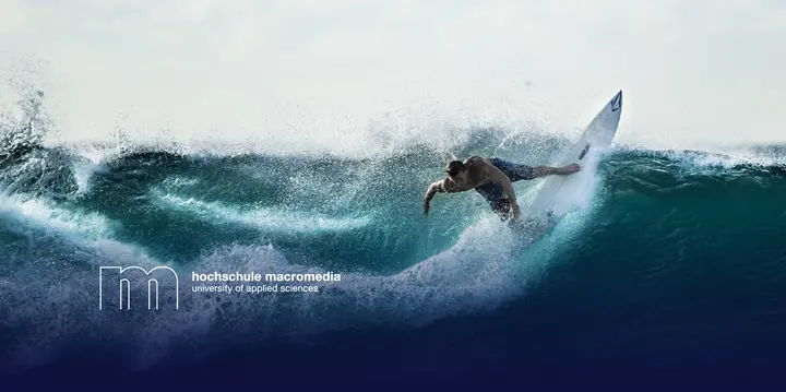 Using eye tracking to analyze surfers’ gaze patterns