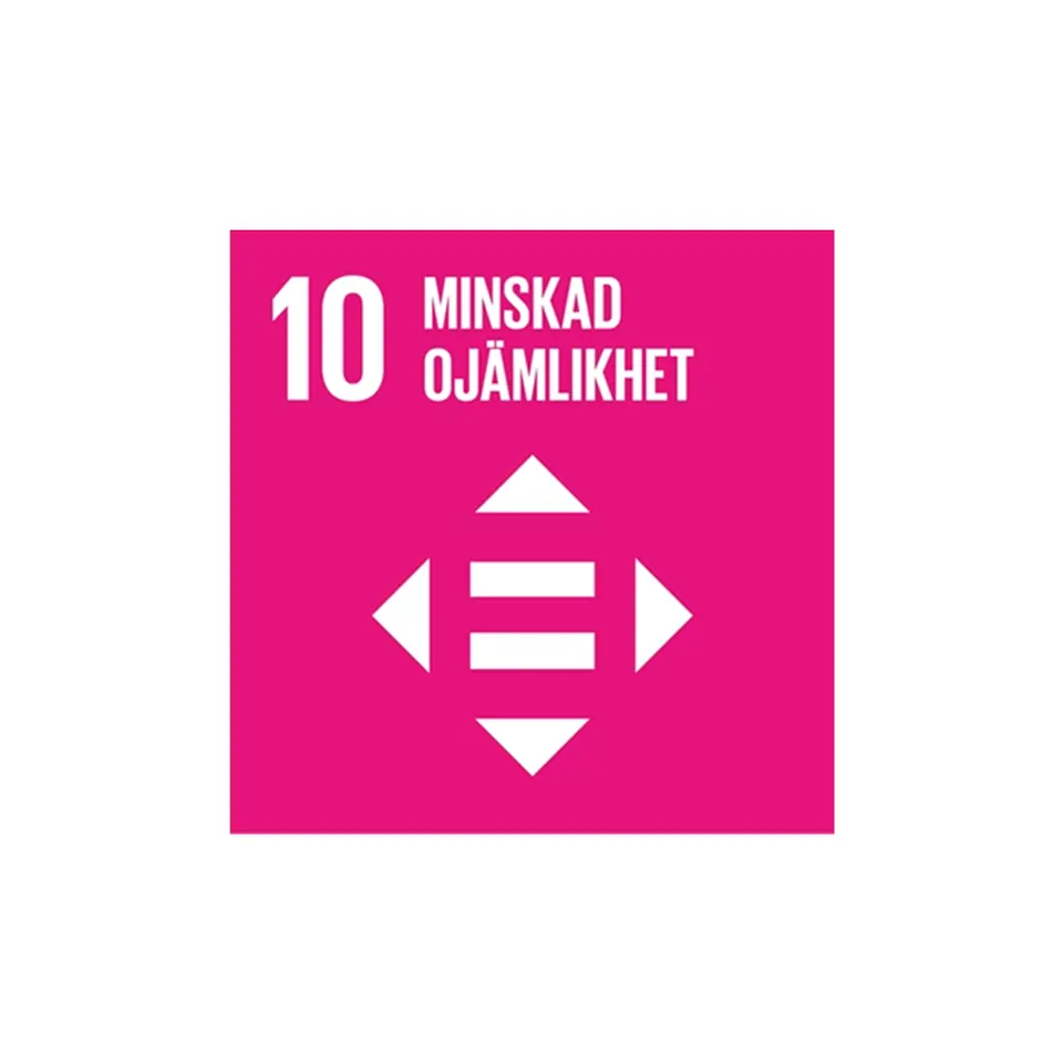 Mål 10: Minskad ojämlikhet 