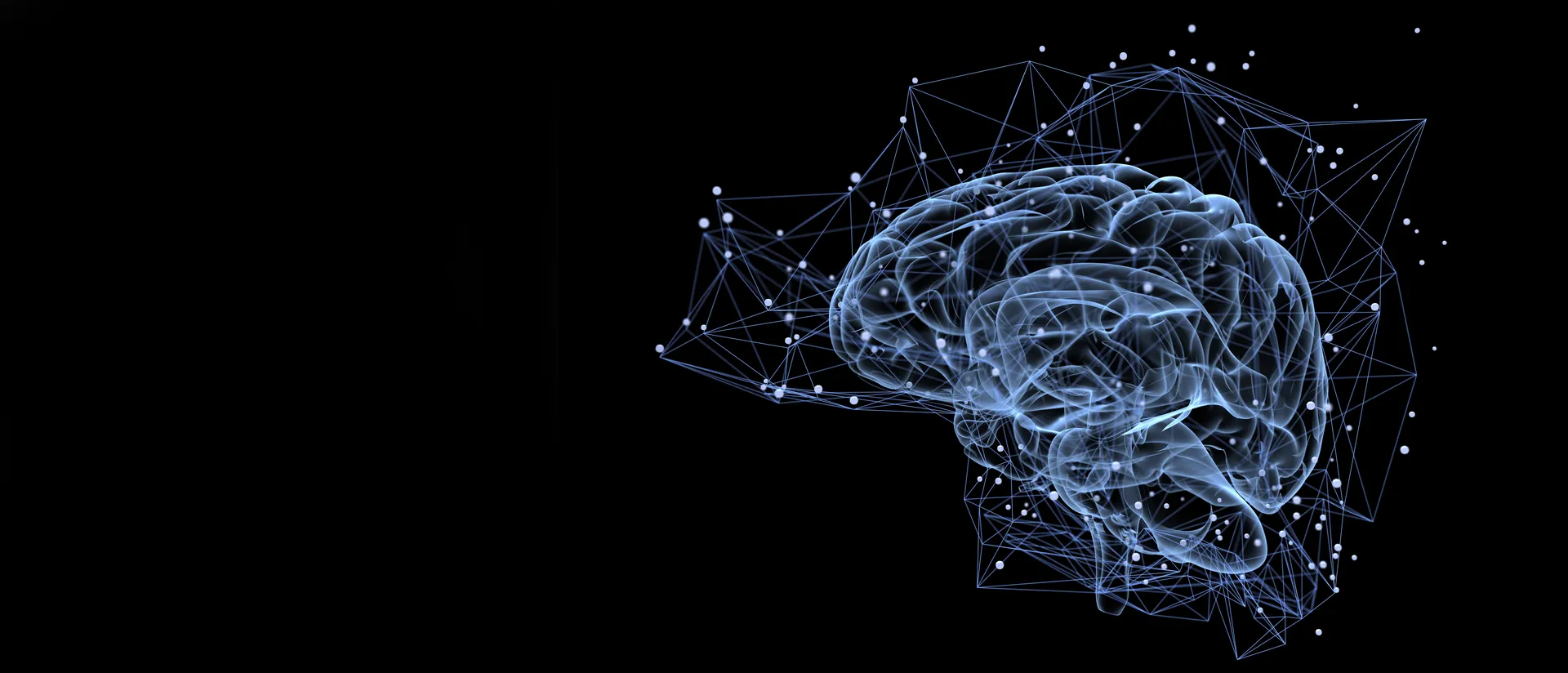 What can eye tracking reveal about cognitive processes?
