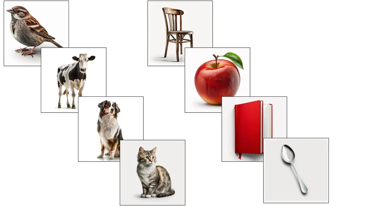 Picture 1. Example of images during a preferential looking study. A simple experiment using eight different images would result in 32 (4x4x2) different stimuli.  