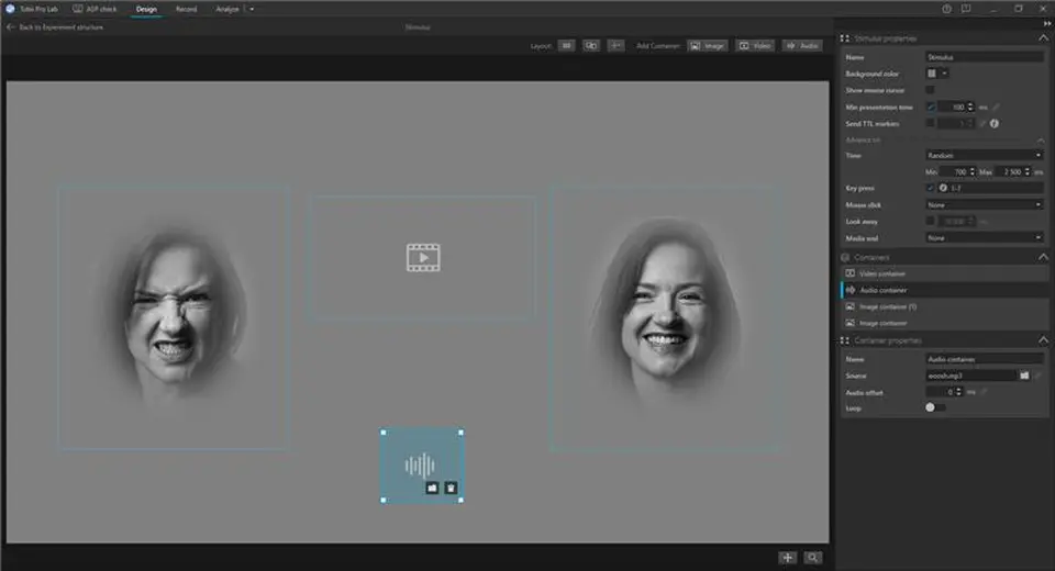 Tobii Pro Lab Flexible media presentation