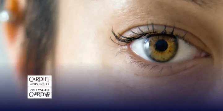 Eye tracking for vision research
