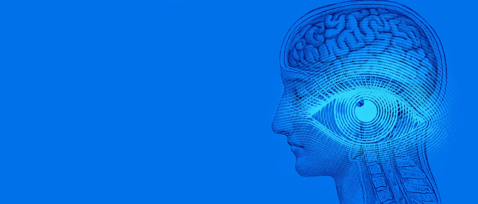 Shaping the future of eye tracking