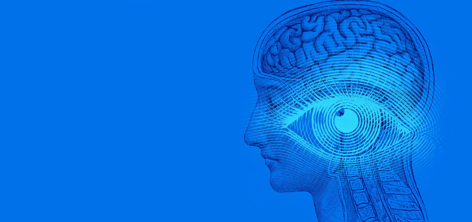 Die Zukunft des Eye Tracking gestalten