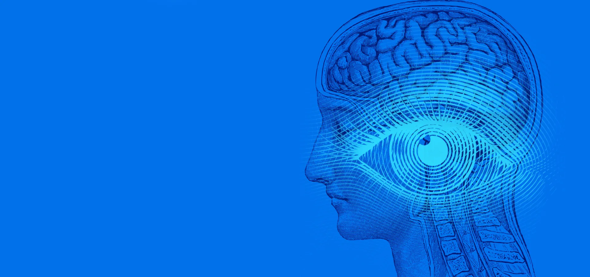 시선추적의 미래 설계하기