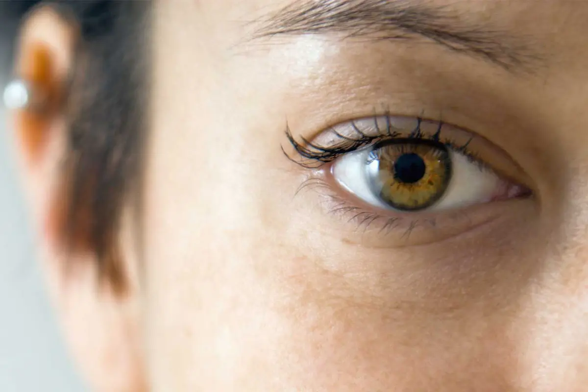 Close up of the human eye