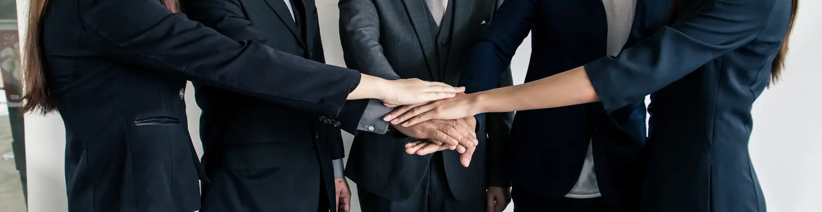 Executive management team