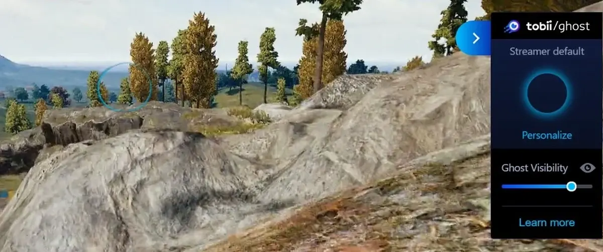 Example of 80% Visibility contrast in PUBG 