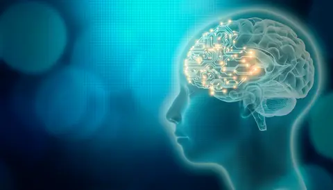 疲労や眠気、認知負荷などの状態推定アルゴリズム開発に。