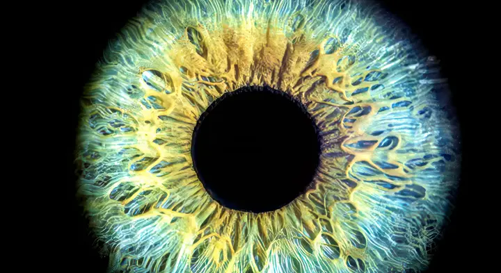 Messung der Pupillengröße mit Eye Tracking