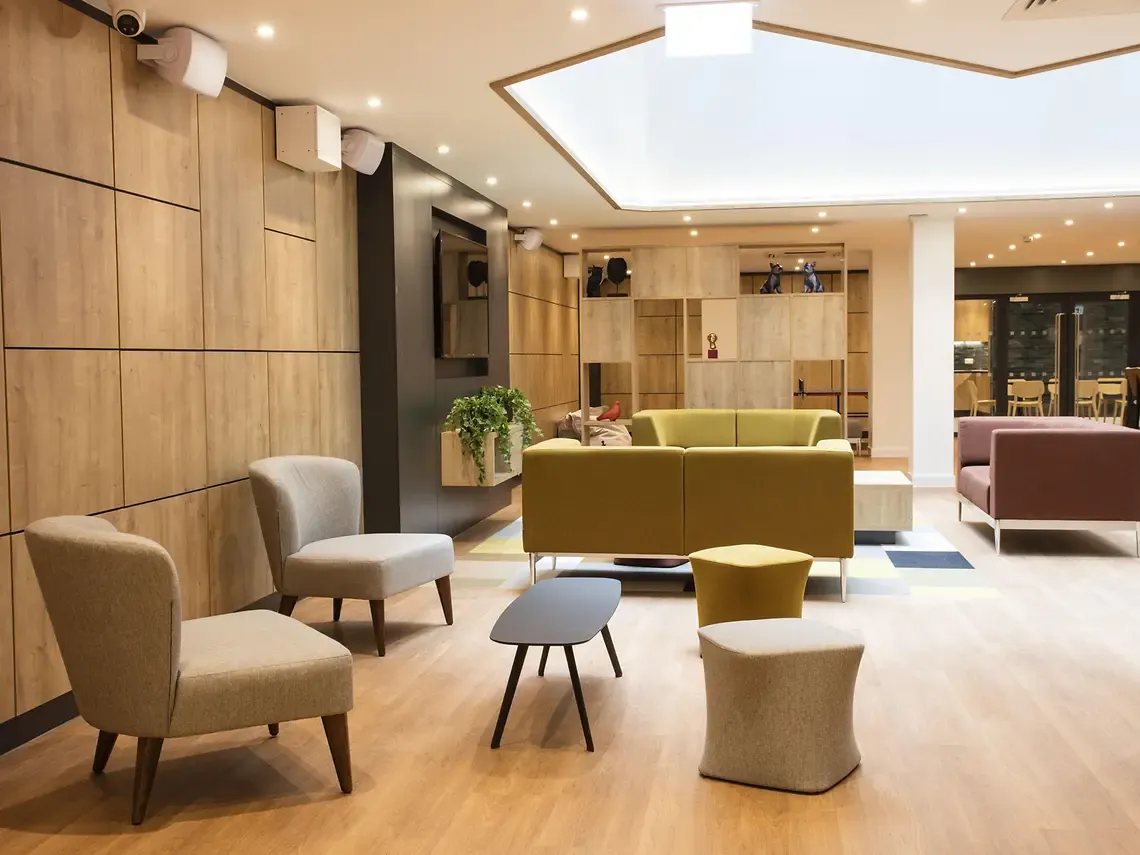 Modern lounge with wooden walls, assorted chairs, a green sofa, and skylight, creating a cozy and inviting atmosphere.