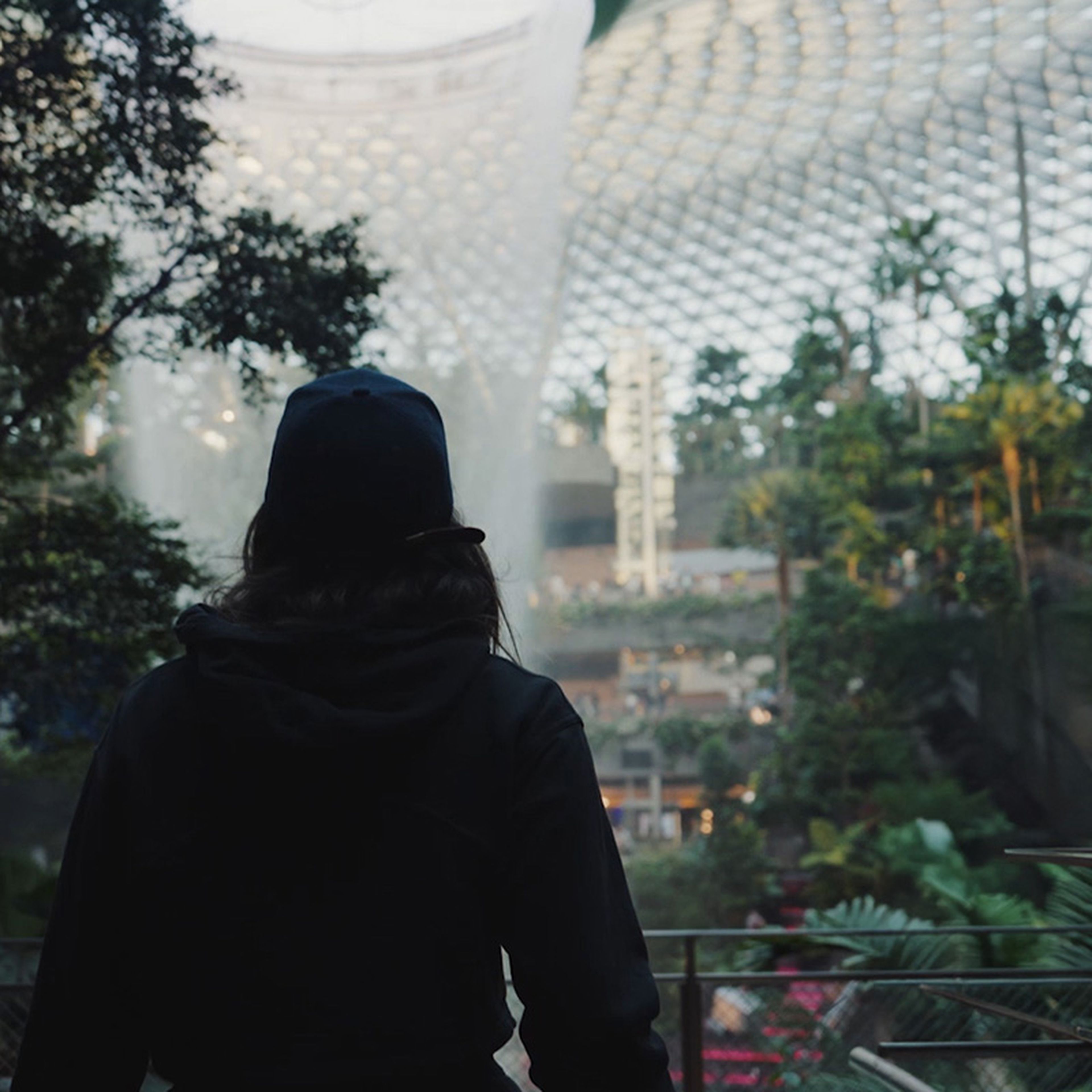 Student in a hoodie stands in an indoor garden, looking up at a large glass dome structure, surrounded by trees and plants.