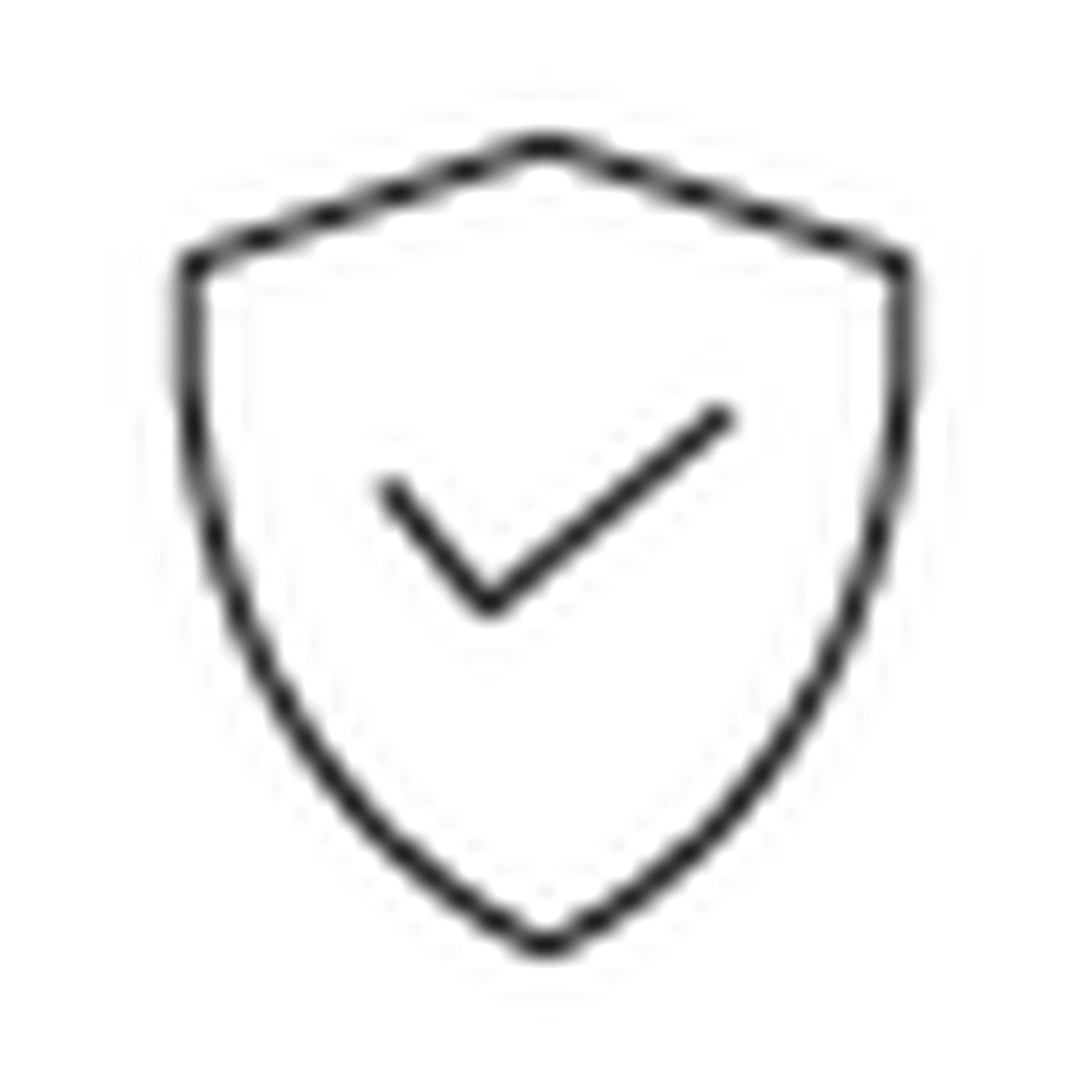 Security icon