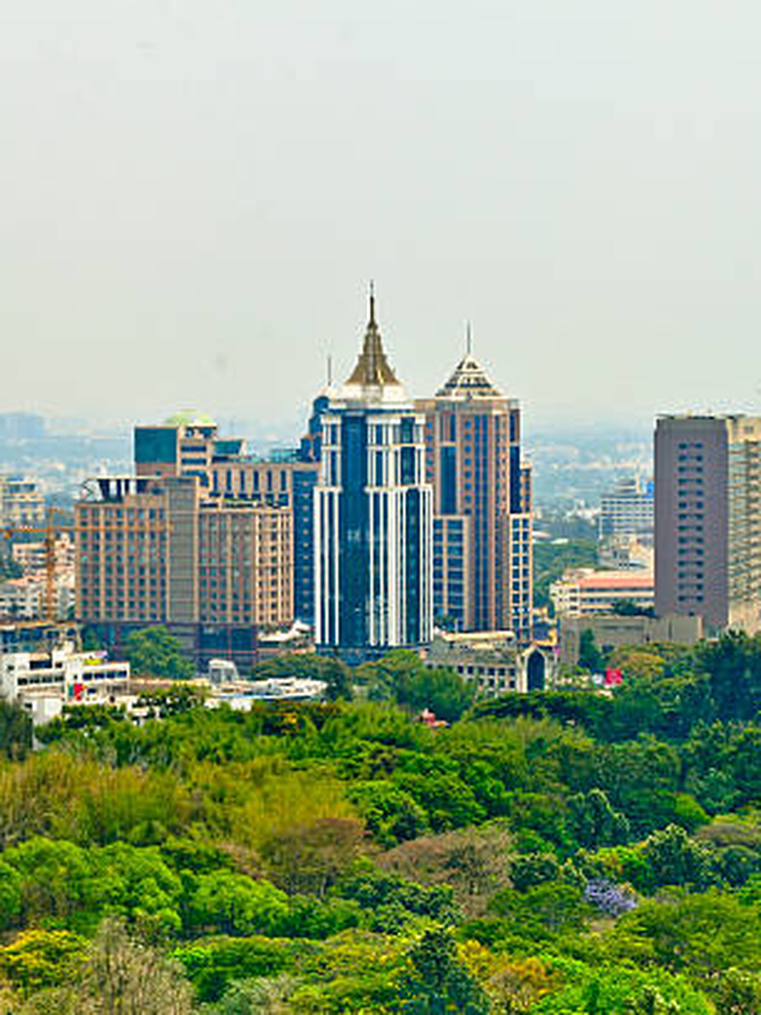 Tall buildings rise above lush greenery in a sprawling urban landscape.
