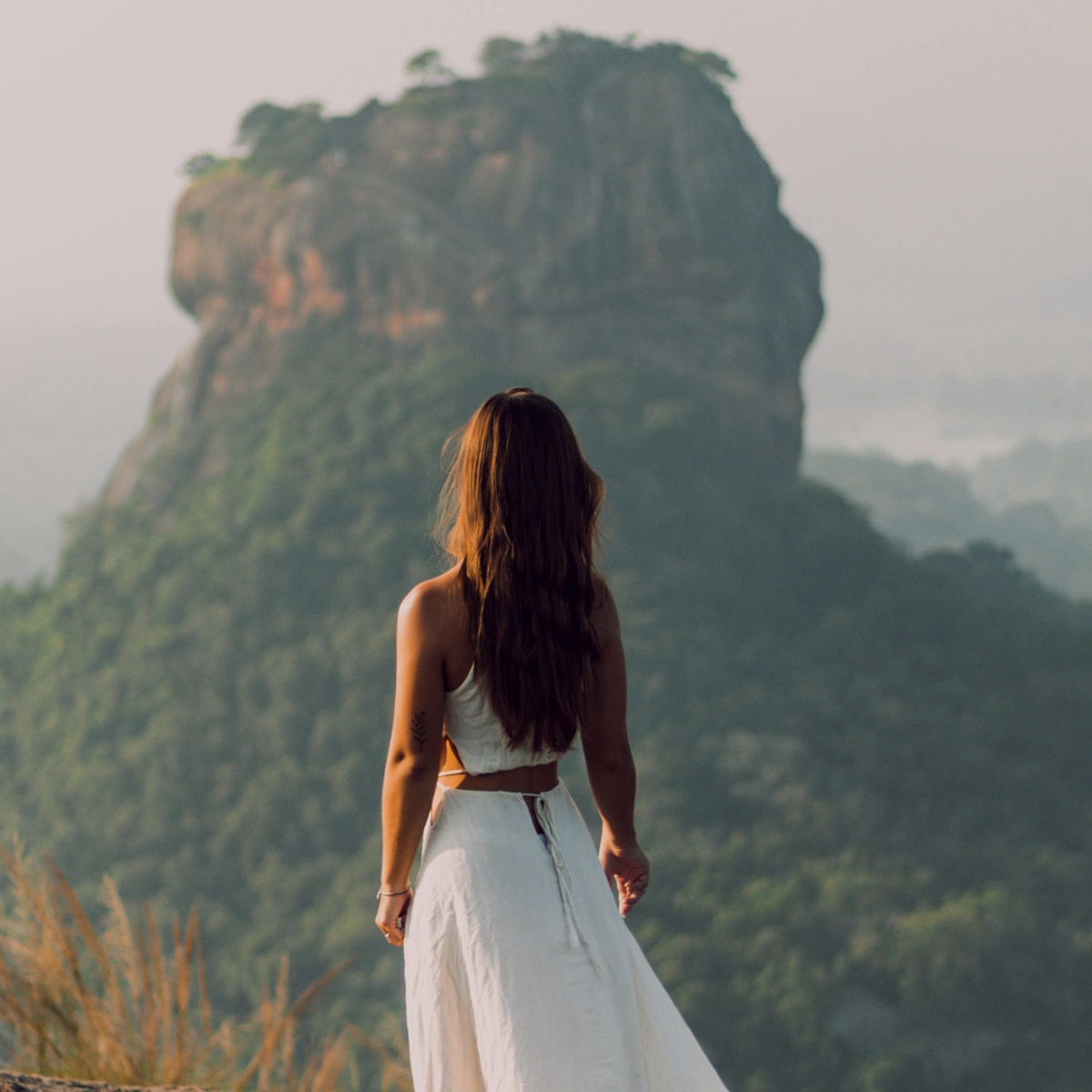 header - cupcake - jarig - verjaardag - taart - cake - unsplash