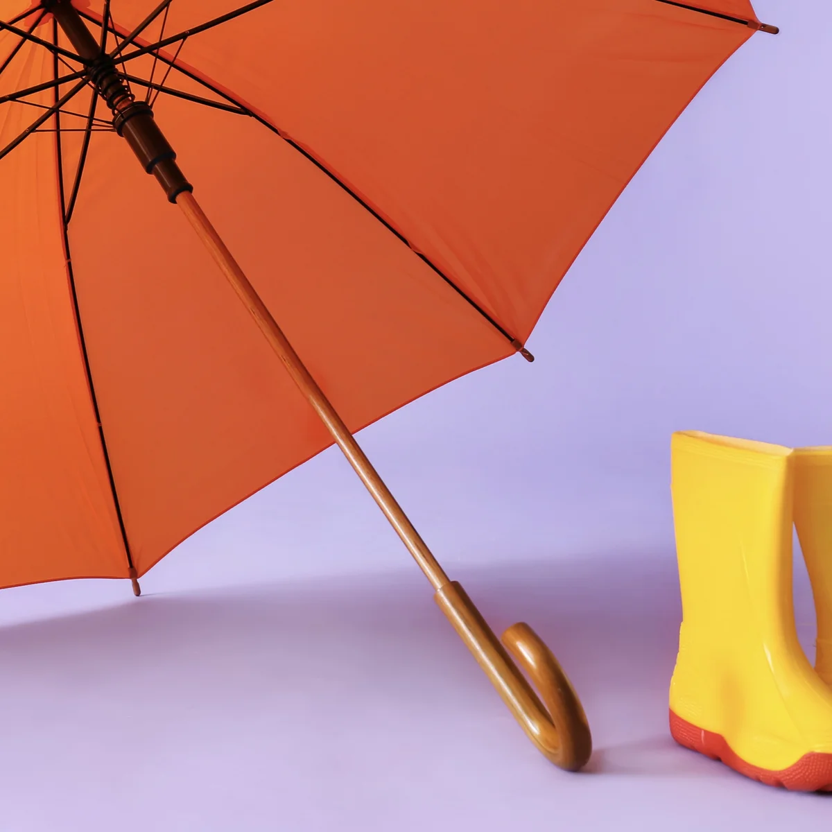 Header - paraplu - laarzen - Shutterstock