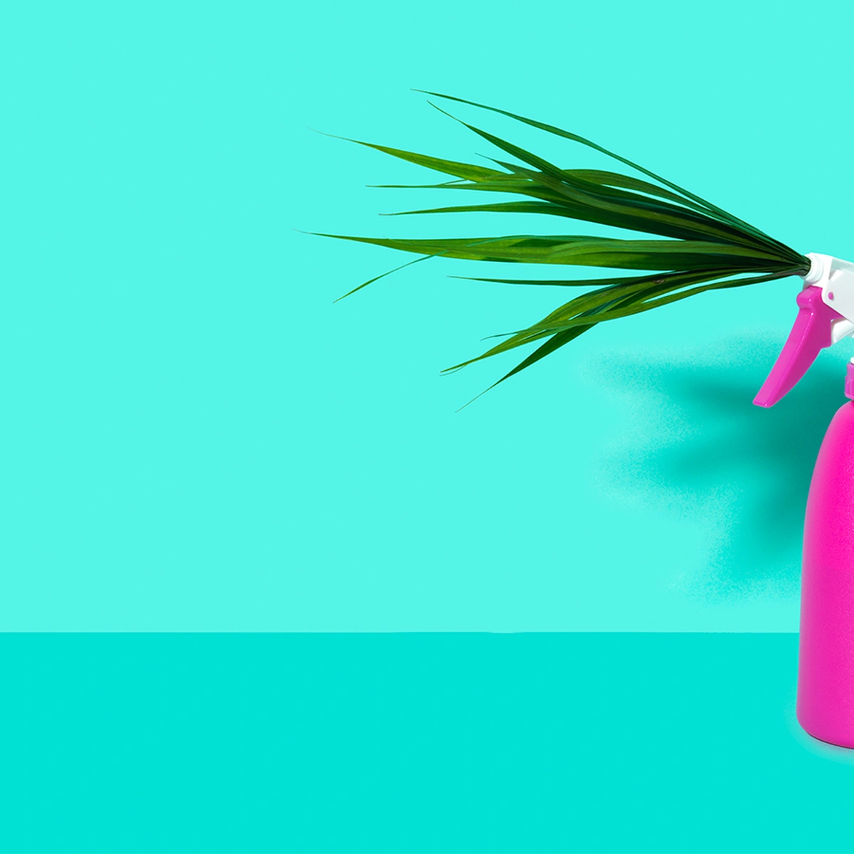 Header - Floriade - plantenspuit