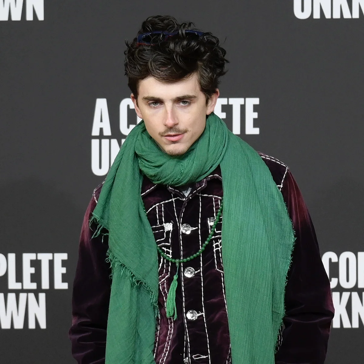 Header - Timothée Chalamet - NL Beeld