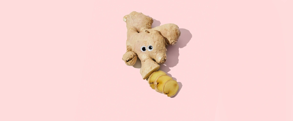 header - gember - oogjes - unsplash