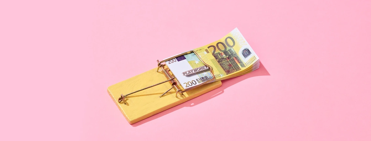 Geld - Muizenval - Tom ten Seldam - Header