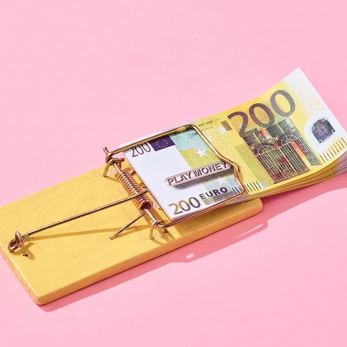 Geld - Muizenval - Tom ten Seldam - Header
