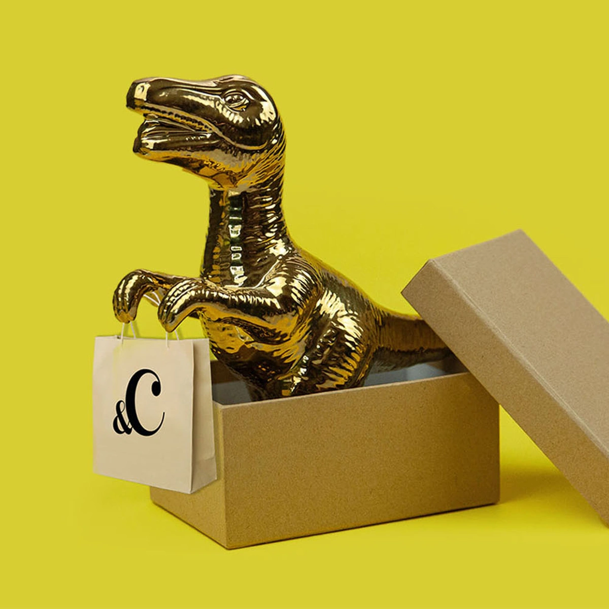 header - dino - goud - tasje - winkelen - pexels