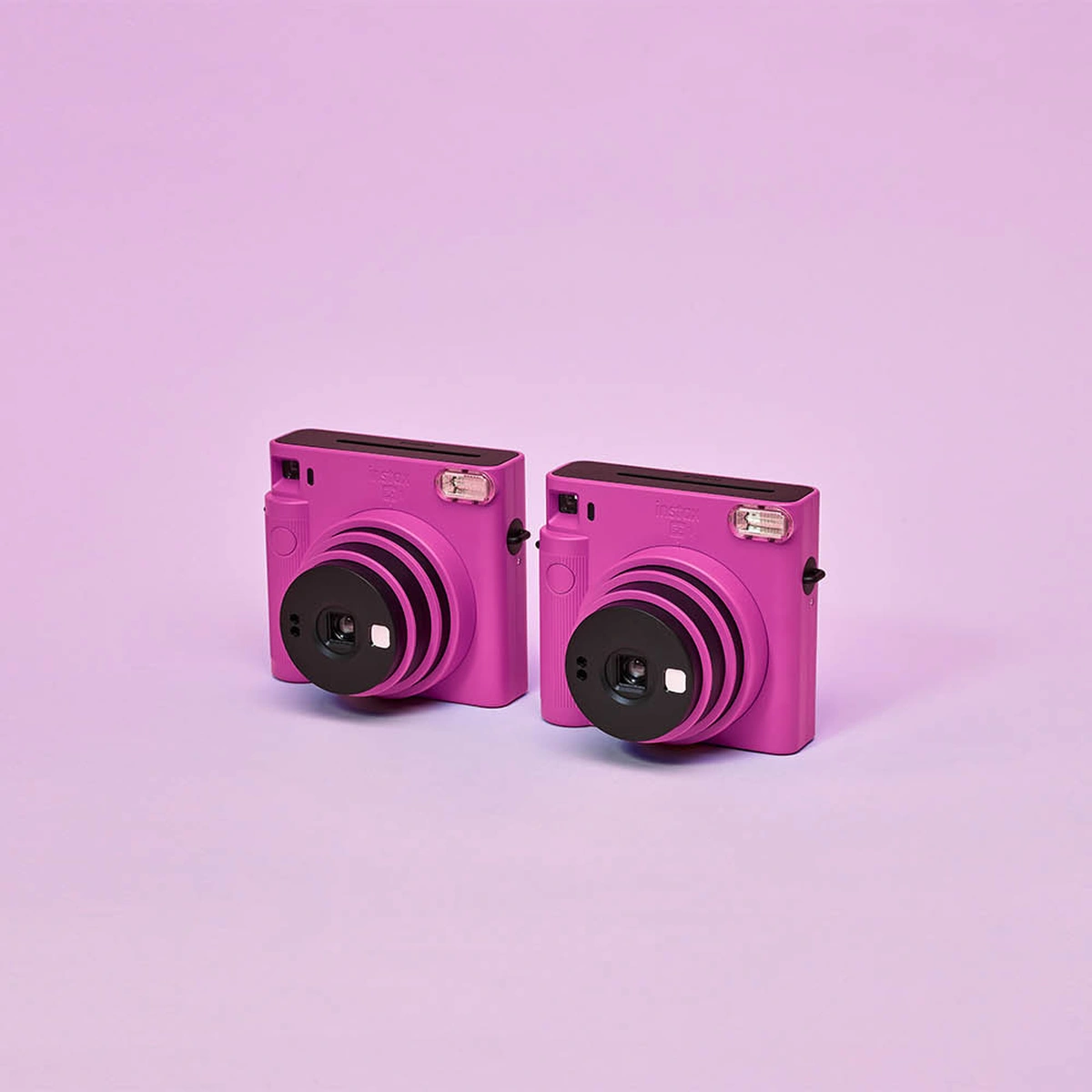Camera - Roze - Fotografie Tom ten Seldam -Header