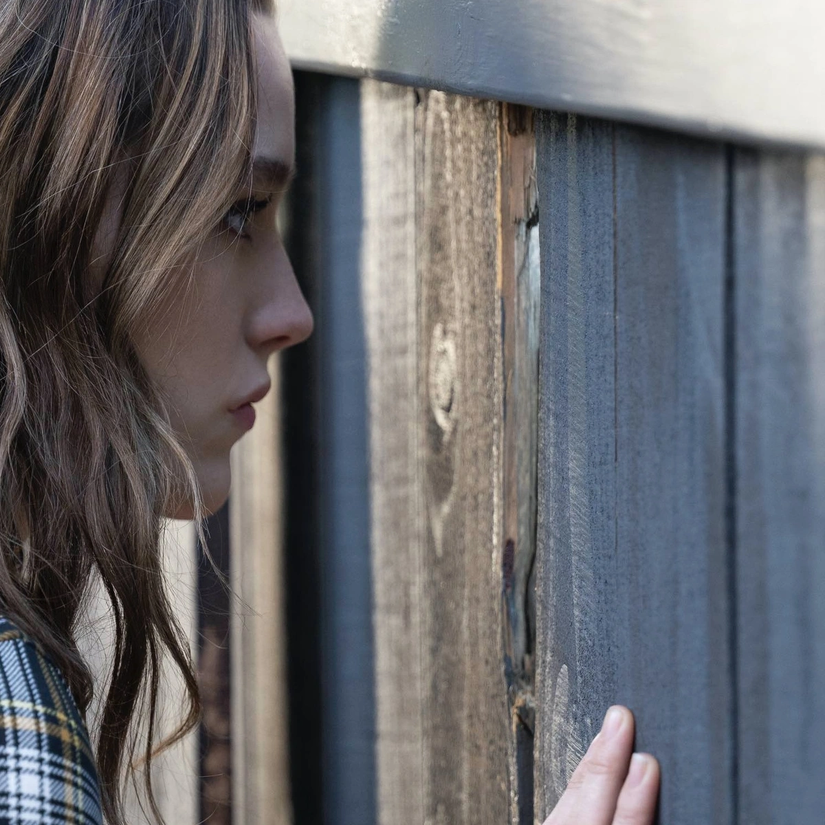 Header - Love Quinn - Netflix