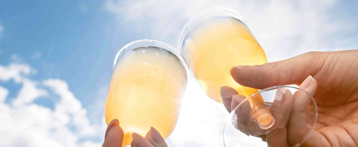 Header - wibra - proost