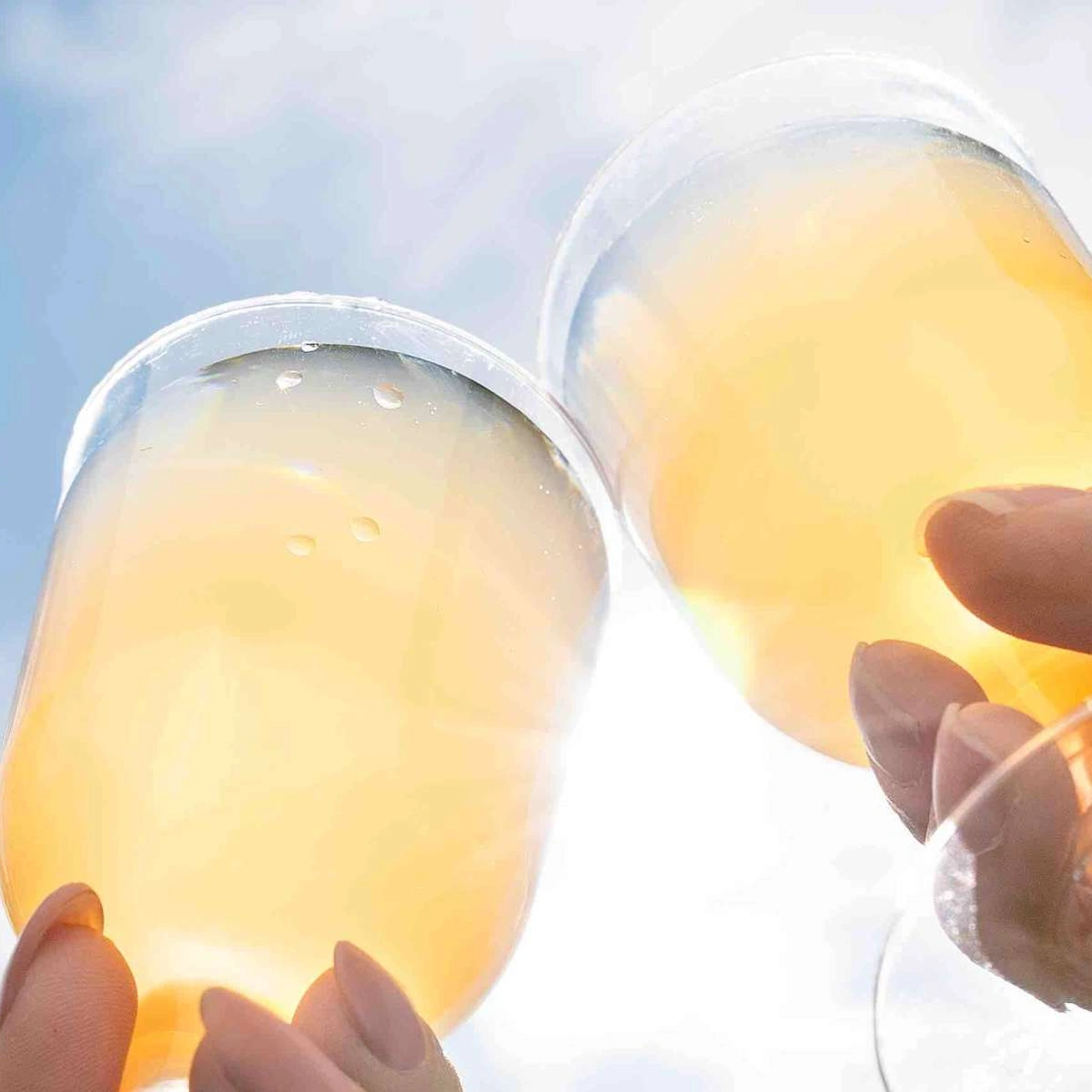 Header - wibra - proost