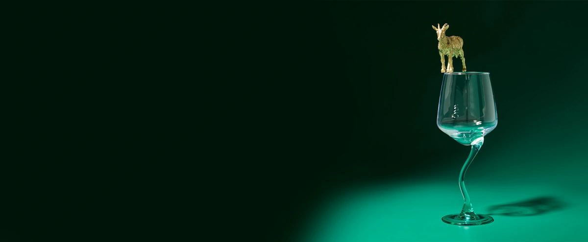 Hero - sterrenstof - sterrenbeeld - steenbok